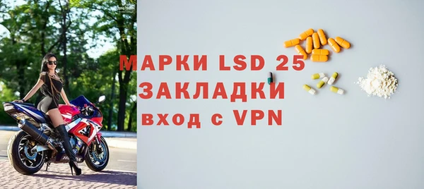 прущие грибы Абаза
