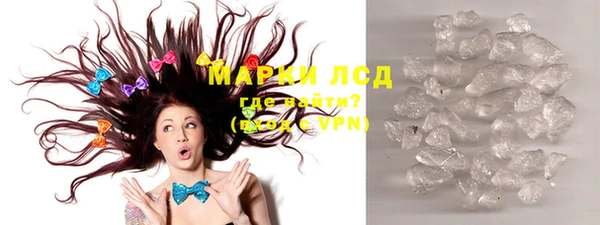 прущие грибы Абаза
