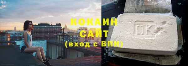 прущие грибы Абаза
