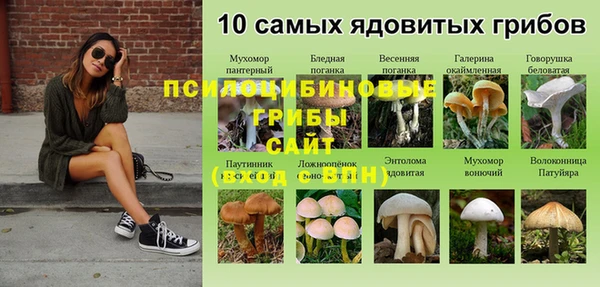 дживик Абдулино
