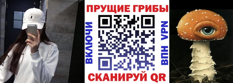 наркотики  Луза  кракен ONION  Галлюциногенные грибы Magic Shrooms 